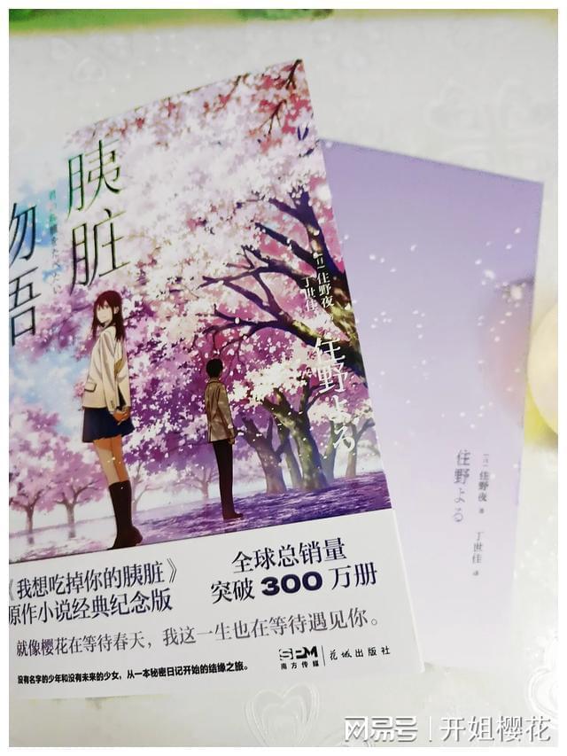就业援助送岗位！吴忠市红寺堡区举办专场招聘会促重点群体就业
